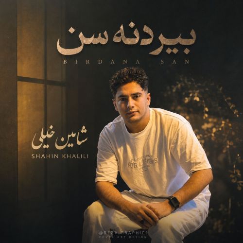 دانلود آهنگ بیردنه سن بیردنه (گل آلدیم یل آپاردی) از شاهین خلیلی
